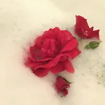 Romantik 2-6p * Mürlenbach