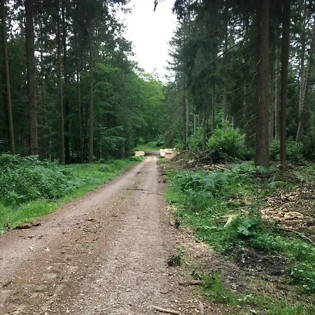 Apartment Romantik 2-6P Murlenbach