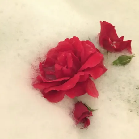 Romantik 2-6P * Murlenbach