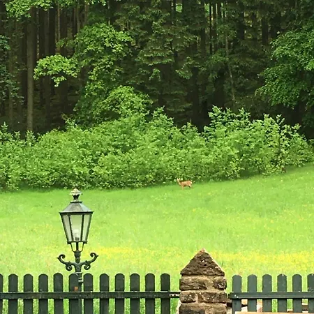 Apartment Romantik 2-6P Murlenbach