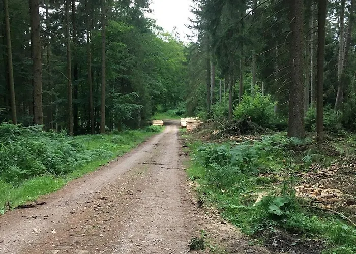 Apartamento Romantik 2-6P Mürlenbach