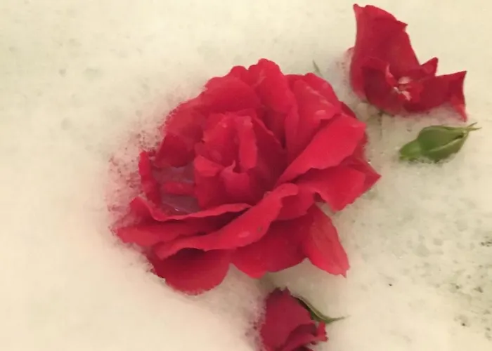 Romantik 2-6P * Mürlenbach