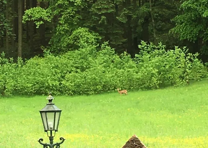 Apartamento Romantik 2-6P Mürlenbach